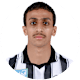 الهمامي